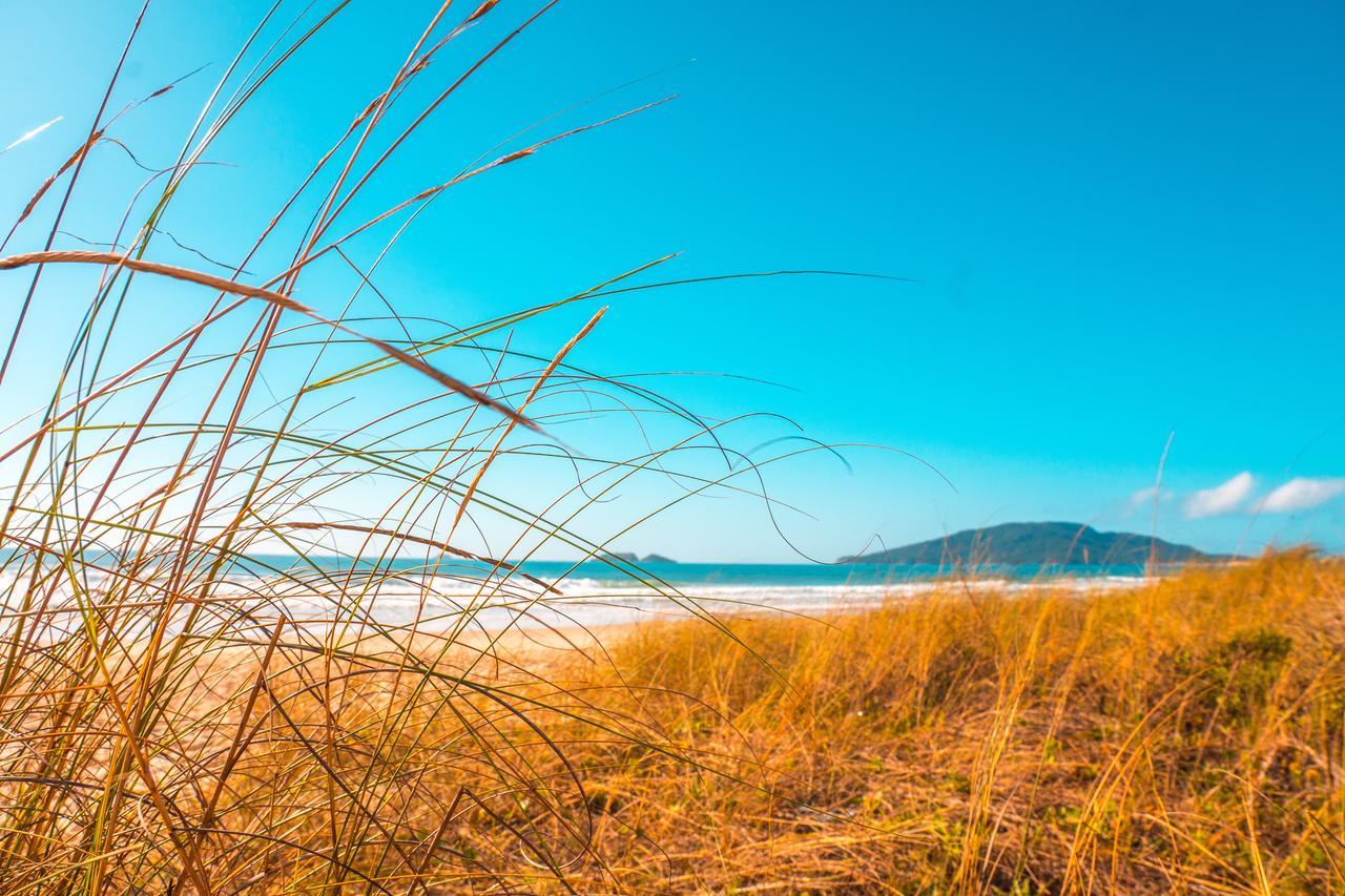 Apto Na Praia Do Ingleses Florianópolis 외부 사진